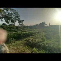 زمین باغی با طرح هادی مسکونی و باغ|فروش دفتر صنعتی، کشاورزی، تجاری|دامغان, |دیوار