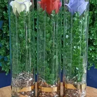 انواع شاخه گل رز مصنوعی در شیشه ویژه روز مادر|گل مصنوعی|قم, نیروگاه|دیوار