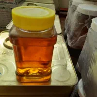 عسل|خوردنی و آشامیدنی|مراغه, |دیوار