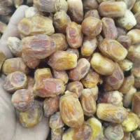 زاهدی (قصب)بهبهان