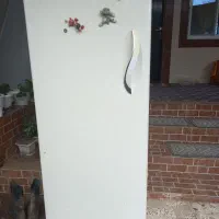 یخچال فزیز|یخچال و فریزر|لشت نشا, |دیوار