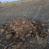 اجاره زمین کشاورزی