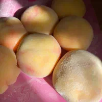 موچی خانگی