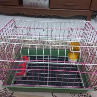 قفس حیوانات|لوازم جانبی حیوانات|پردیس, فاز ۱|دیوار