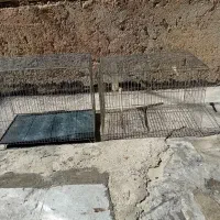 دوعدد قفس سایز بزرگ با یک عدد جفت تله