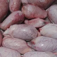 کوی معین زاده|خوردنی و آشامیدنی|اهواز, معین زاده|دیوار