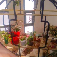 دکوراسیون متحرک برای هر مکان و هر جای زیبا ست