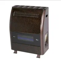 بخاری ۹۵۰۰ ایران شرق