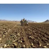 فروش زمین کشاورزی