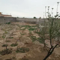 فروش املاک|فروش خانه و ویلا|شال, |دیوار