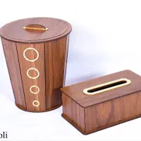 راننده خانم
