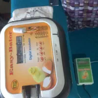 دستگاه جوجه کشی ایزیباتور ۶