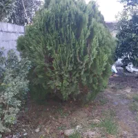 فروش زمین مسکونی