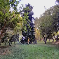 ۱۲۸متر ۲ خواب