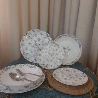 سرویس ۲۴نفره آرکوپال برند دینو