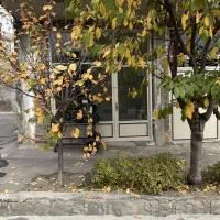 اجاره مغازه