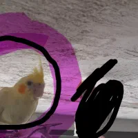 سه شنبه ۵ اسفند