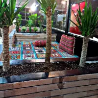 استخدام سالندار خانم یا اقا