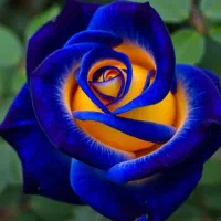 جشنواره تخفیف لابیا پلاستی فقط با ۷میلیون