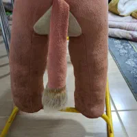 فیل|اسباببازی بچه|بوکان, |دیوار