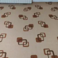 دوعدد موکت|موکت|همدان, |دیوار