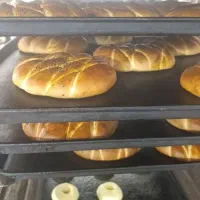 فروشندگی|استخدام خدمات فروشگاه و رستوران|شیراز, شهرک فرهنگیان|دیوار