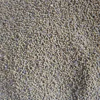 حلوبات  ماش دست چین بوجاری شده