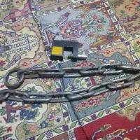 پرنده زیبا