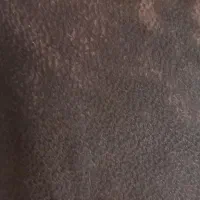 کیف گمشده