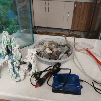 آکواریوم با تجهیزات|ماهی|تبریز, |دیوار