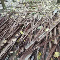 آهن کارکرده صومعه‌سرا