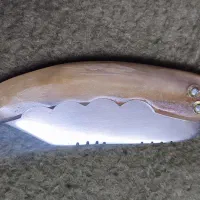 چاقو کلکسیونی|کوهنوردی و کمپینگ|قزوین, |دیوار