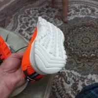 کفش اسپرتی دخترانه یا زنانه