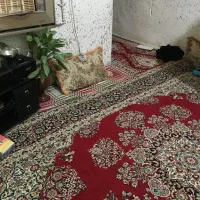 اجاره خانه مستقل در کتسبس(مهدی اباد)