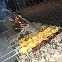نیازمند نیرو مجرب برای سفره خانه