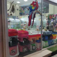 بزرگترین پت شاپ و قصر پرنده در سمنان|پرنده|سمنان, |دیوار