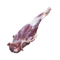 گوشت تازه بره شیر