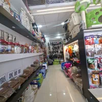 پتشاپ پاندا سیتی صدرا
