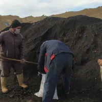 کود هیومیک اسید (لوناردیت)|خدمات باغبانی و درختکاری|تربت جام, جامرود|دیوار