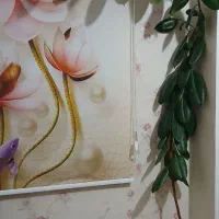 گل آپارتمانی