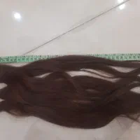 موی نچرال|آرایشی، بهداشتی، درمانی|هشتگرد, شهرک ولیعصر (مصلی)|دیوار