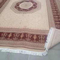 سه تا ۱۲ متری ۵۰۰ شانه