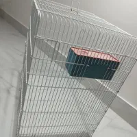 قفس