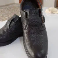 کفش مجلسی|کیف، کفش، کمربند|کرمانشاه, |دیوار