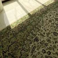 فرش|فرش|شاهرود, |دیوار