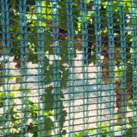 ضد پرنده تور ضدپرنده بدون آسیب به پرندگان تور حفاظ