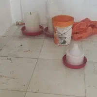 وسایل مرغ فروشی کامل