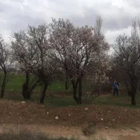 فروش زمین