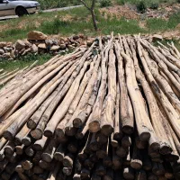 چوب|عمده‌فروشی|فارسان, |دیوار