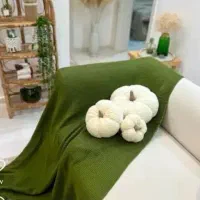 کوسن کدویی تدی